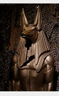 Mestre Anubis, Anubis, instituto ayahuasca, ayahuasca, daime