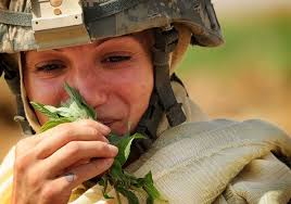 ayahuasca, militares femininas, instituto